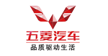 Company Logo of Wuling Automobile Group